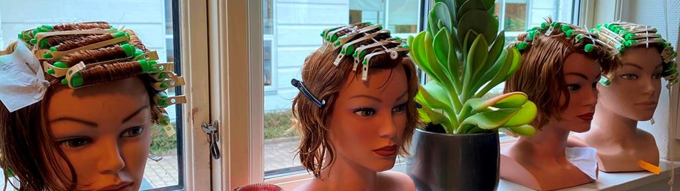 Modeller i vindue